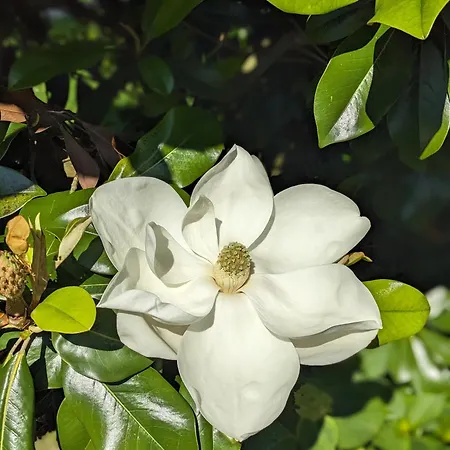 D'hotes Le Cerisier Chambretaud