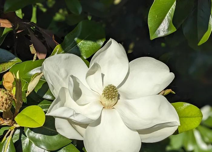 D'hotes Le Cerisier Chambretaud